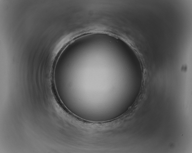 X0000111820007200907301307