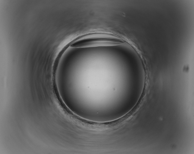 X0000111820008200907301307