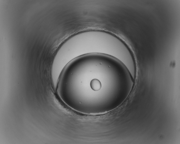 X0000111820009200907301307