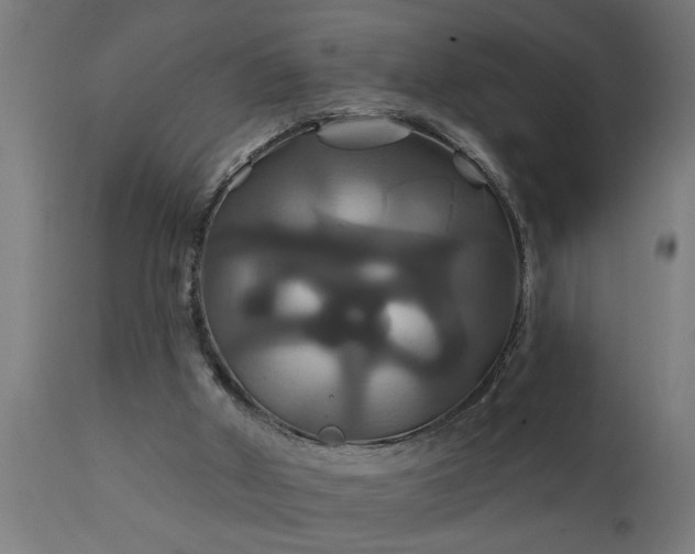 X0000111820010200907301307