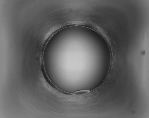 X0000111820011200907301307
