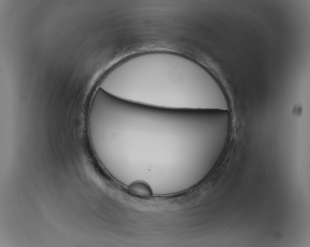 X0000111820012200907301307