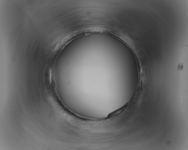 X0000111820013200907301307