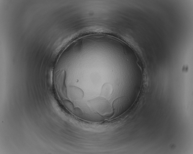X0000111820014200907301307