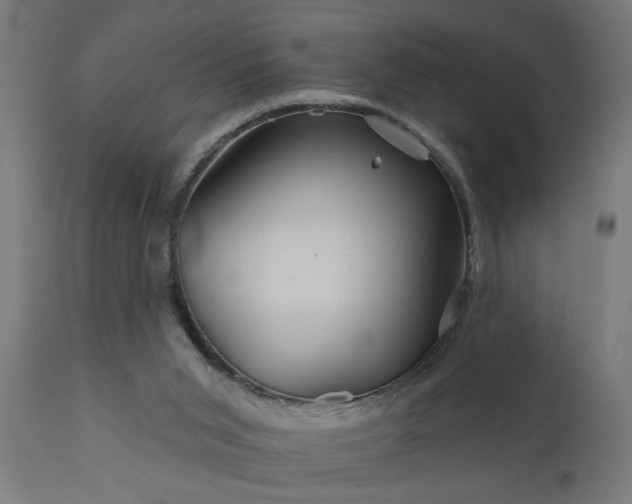 X0000111820015200907301307