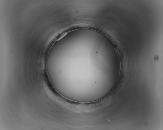 X0000111820016200907301307