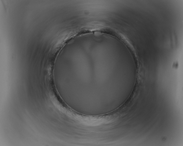 X0000111820018200907301307