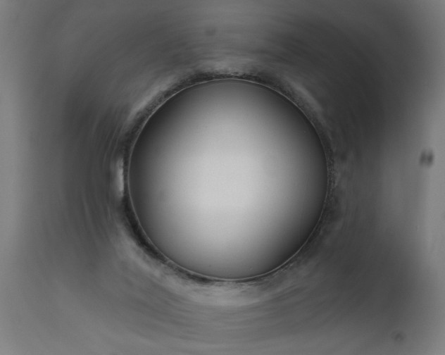 X0000111820020200907301307