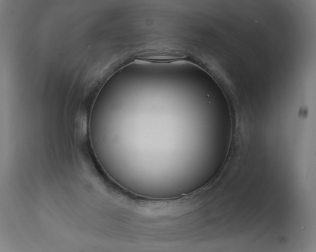 X0000111820021200907301307