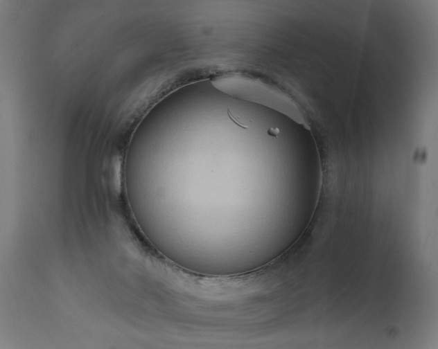 X0000111820022200907301307