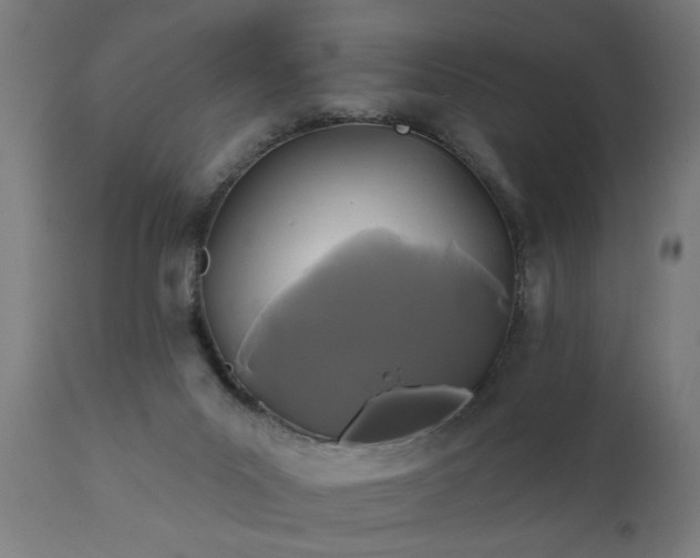 X0000111820023200907301307