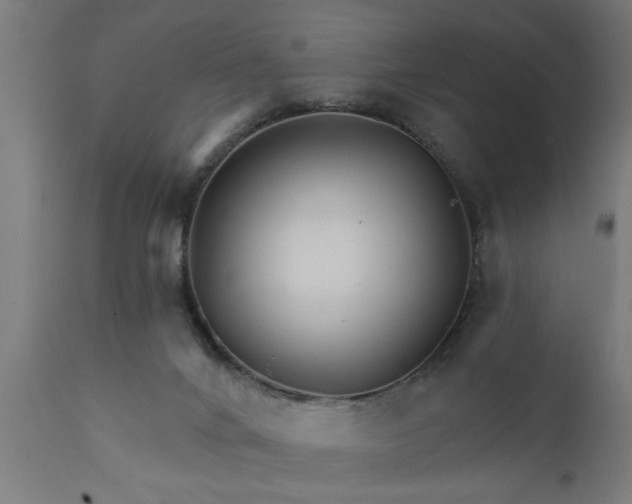 X0000111820024200907301307
