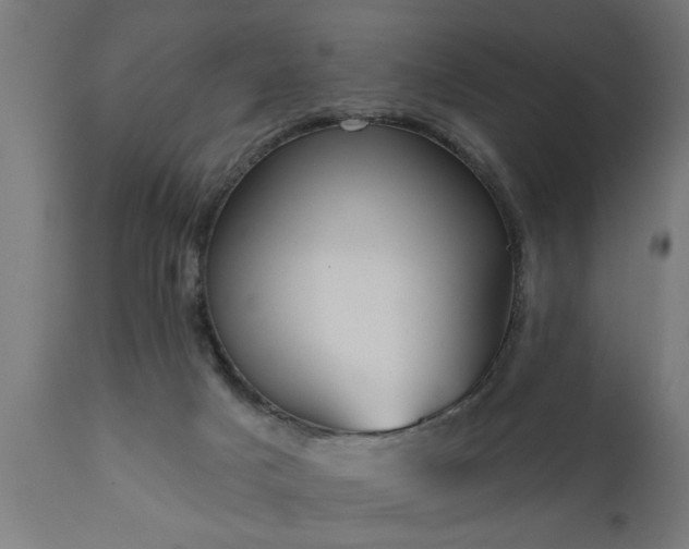 X0000111820025200907301307