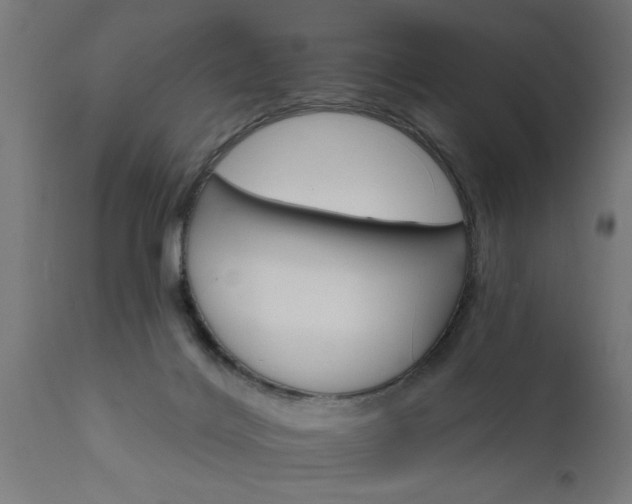 X0000111820028200907301307