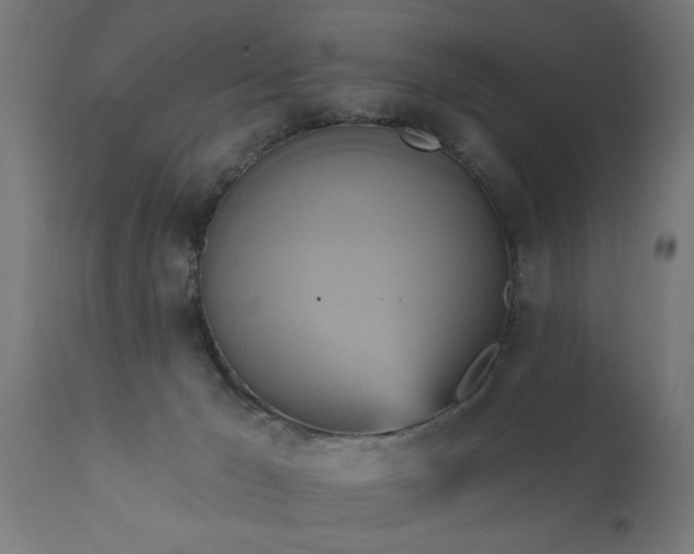 X0000111820029200907301307