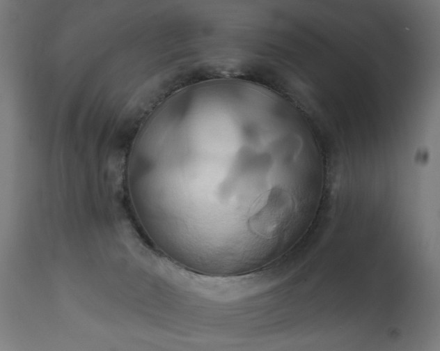 X0000111820030200907301307