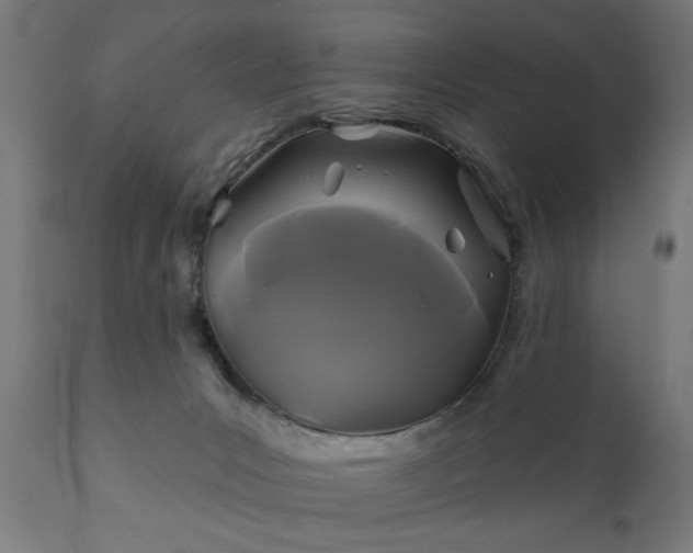 X0000111820031200907301307