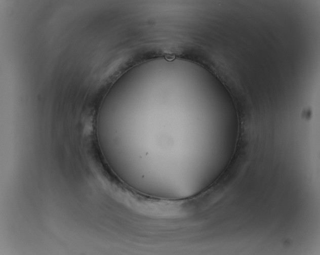 X0000111820032200907301307