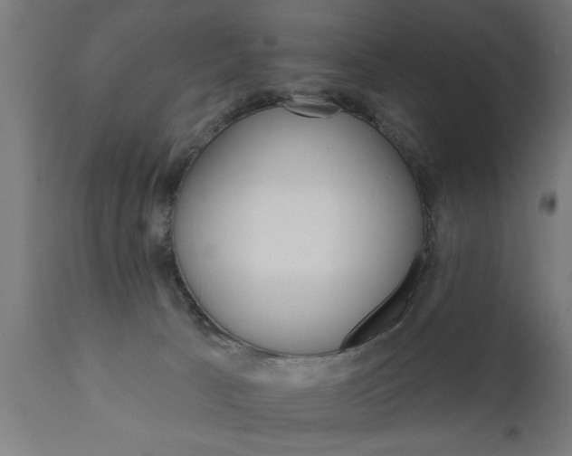 X0000111820033200907301307