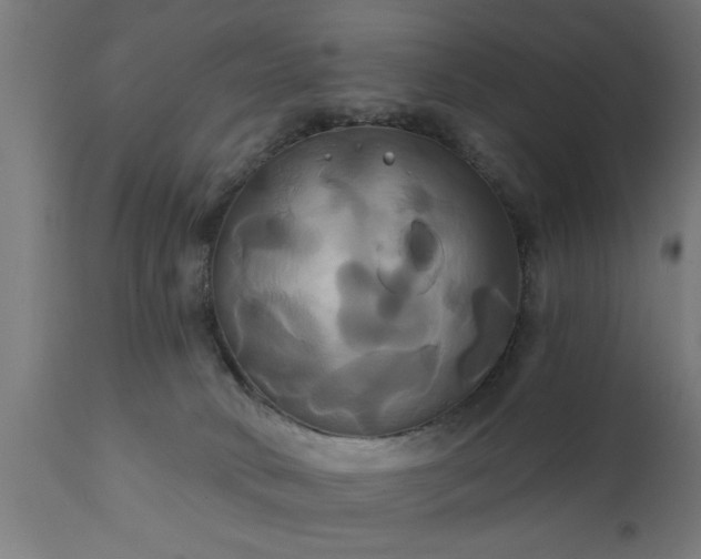 X0000111820034200907301307