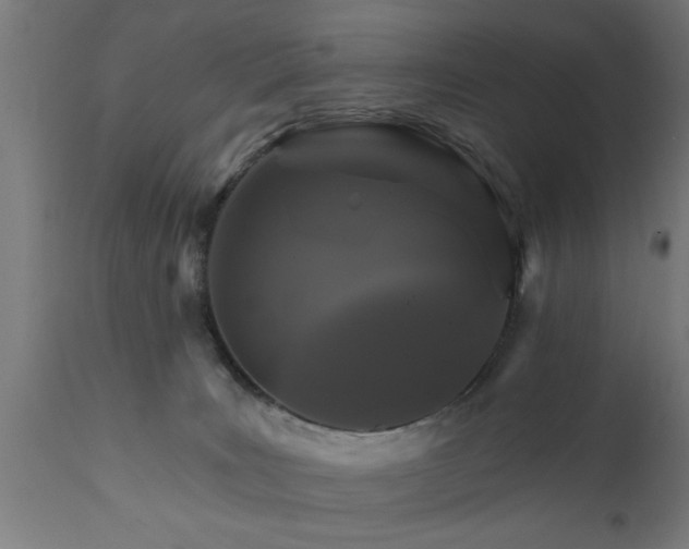 X0000111820035200907301307