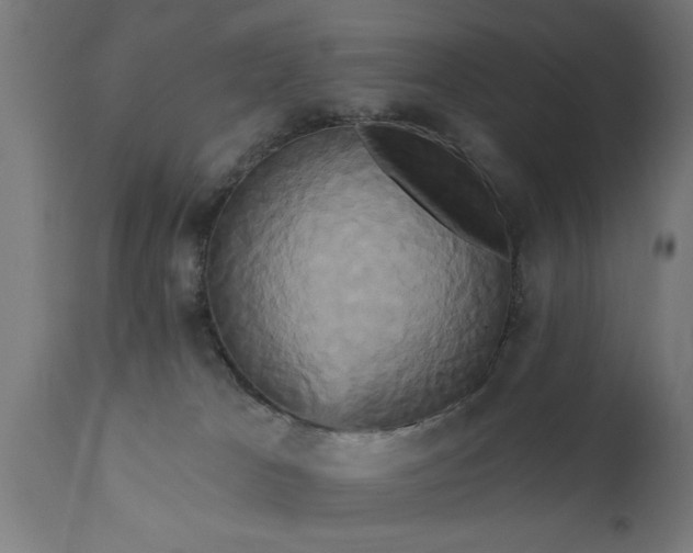 X0000111820037200907301307