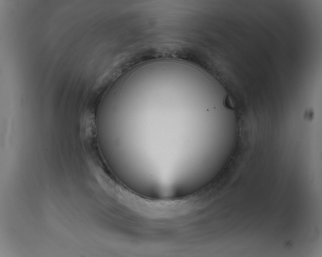 X0000111820038200907301307