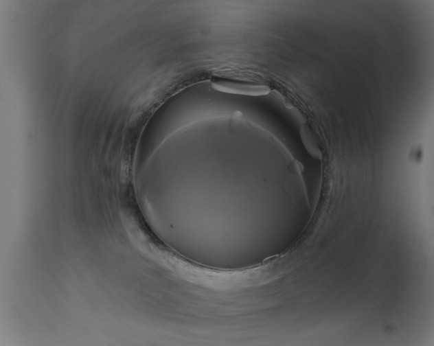 X0000111820039200907301307