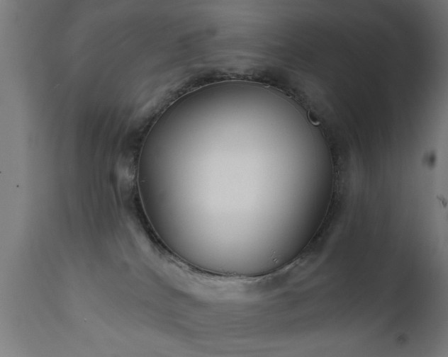X0000111820040200907301307