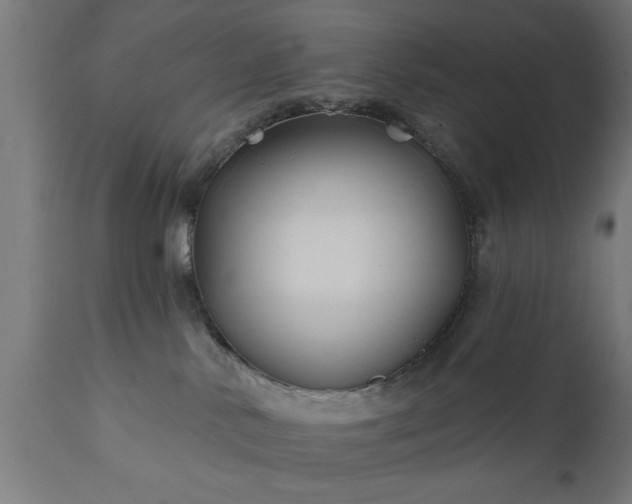 X0000111820042200907301307