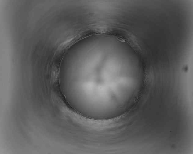 X0000111820043200907301307