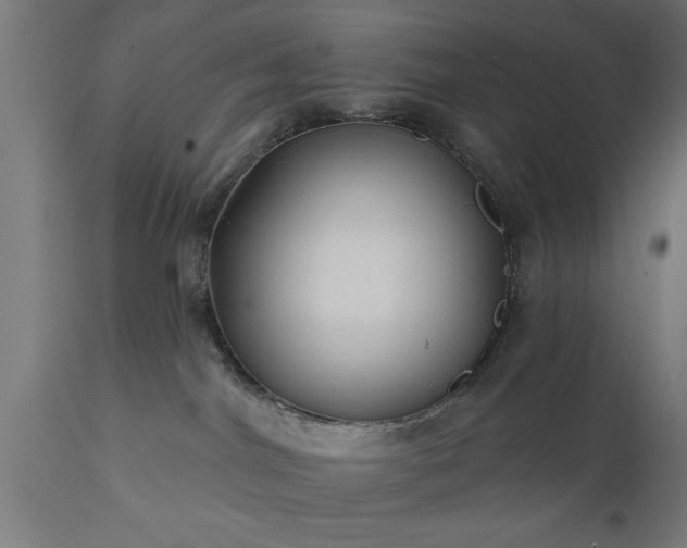 X0000111820044200907301307