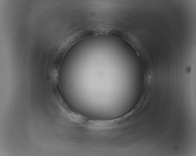 X0000111820045200907301307