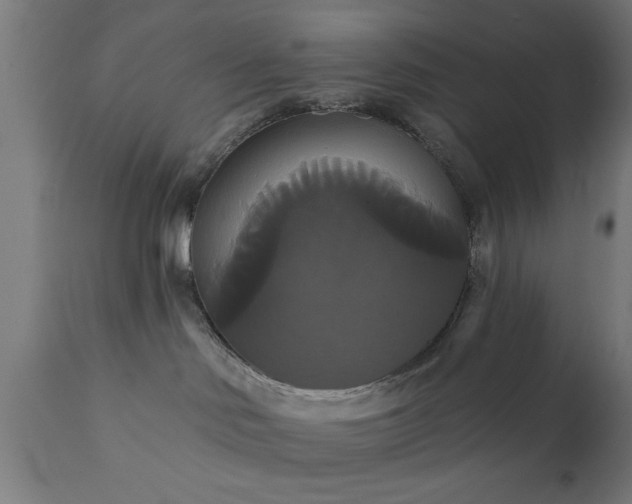X0000111820046200907301307