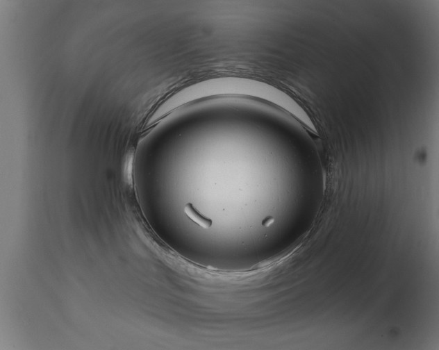 X0000111820047200907301307