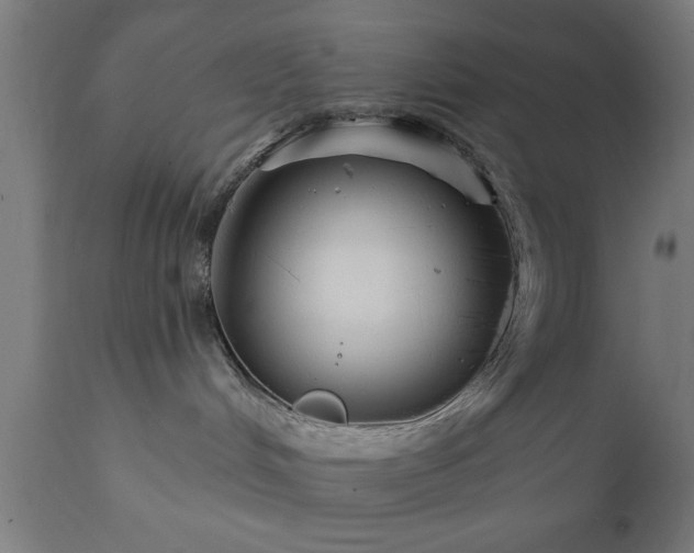 X0000111820048200907301307