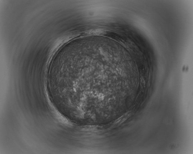 X0000111820049200907301306