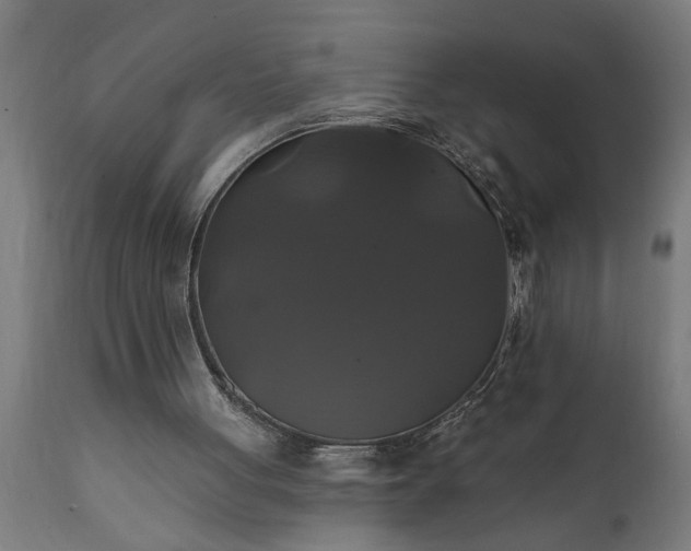 X0000111820051200907301306