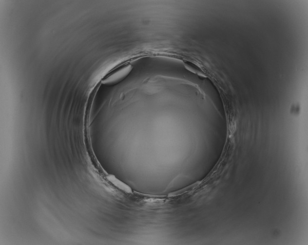 X0000111820052200907301306
