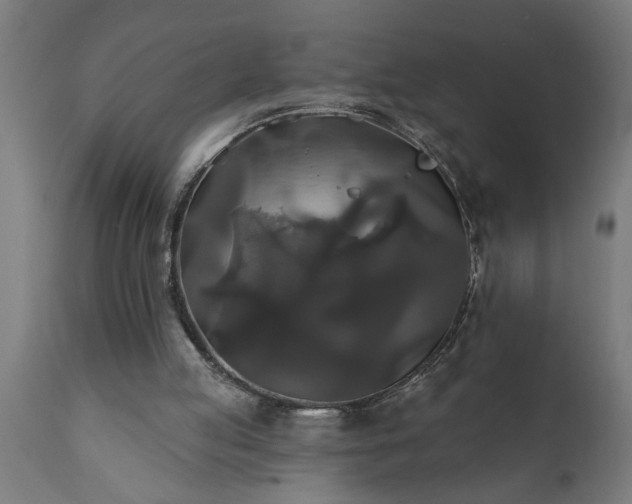 X0000111820053200907301306