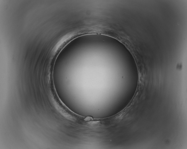 X0000111820054200907301306