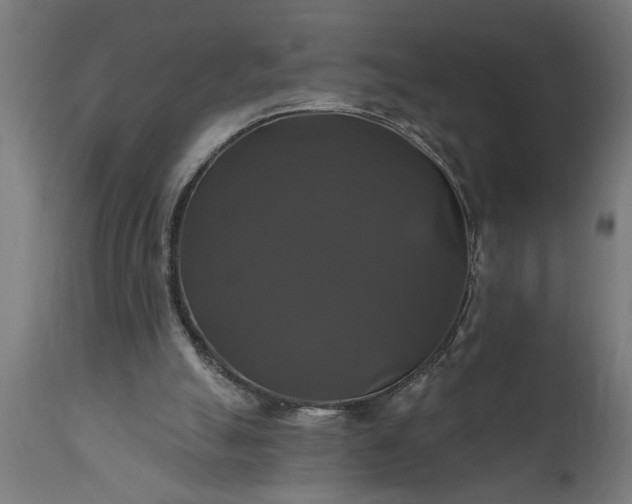 X0000111820055200907301306