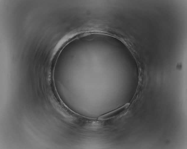 X0000111820056200907301306