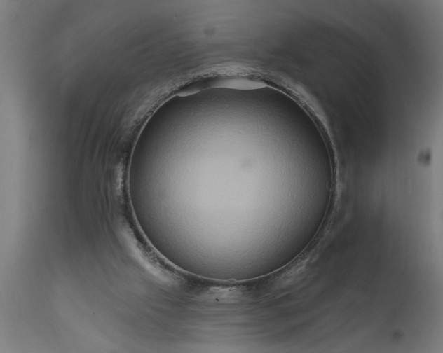 X0000111820057200907301306