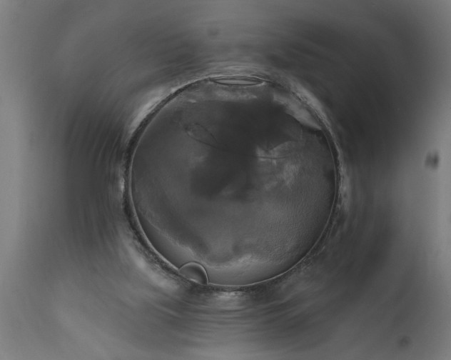 X0000111820059200907301306