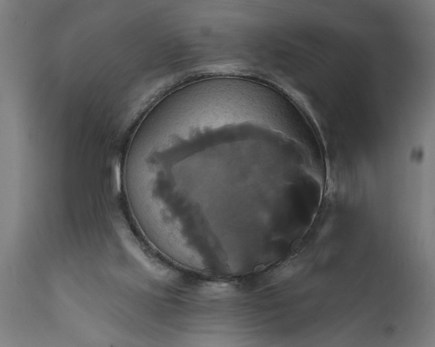 X0000111820061200907301306