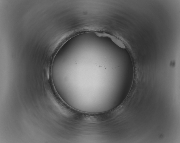 X0000111820062200907301306
