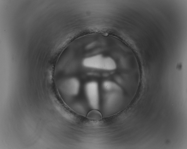 X0000111820065200907301306