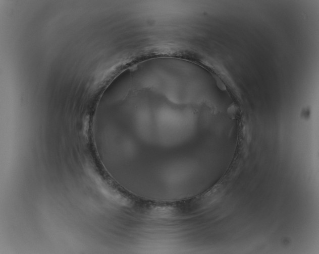 X0000111820066200907301306