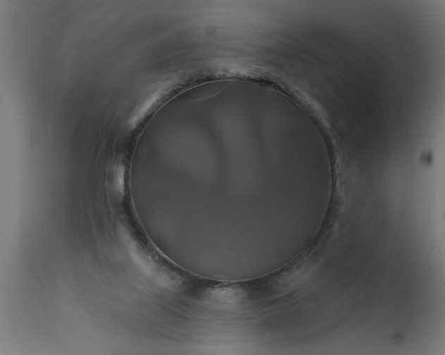 X0000111820067200907301306